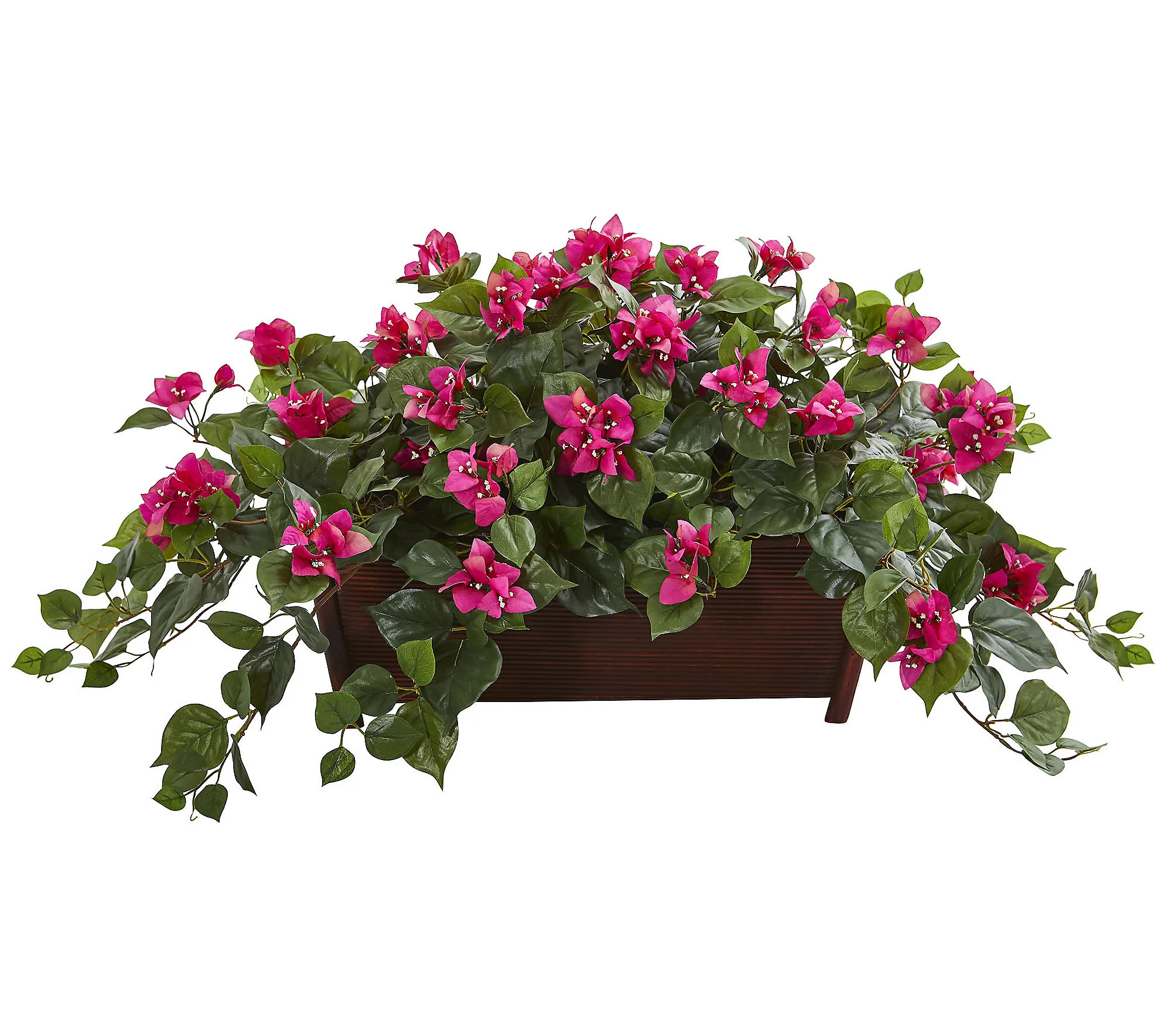 18"" Bougainvillea Plant in Planter by Nearly Na tural | QVC