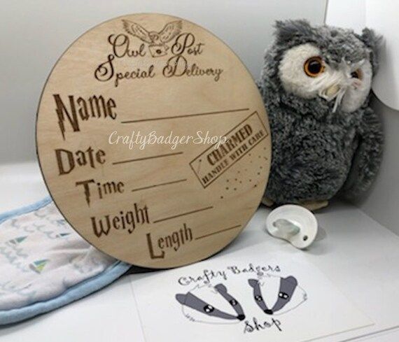 Wizard Owl Post Birth Announcement and Month Milestone Markers | Etsy (US)