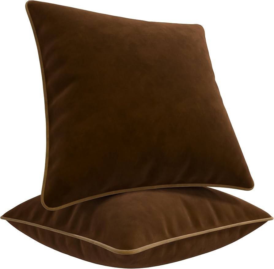 Decorative Velvet Throw Pillow Covers with Trim. Soft Velvet Decorative Pillow Cases. Velvet Cush... | Amazon (US)