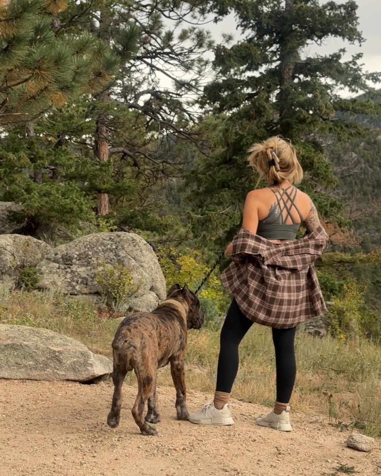 All Amazon besides the sports bra! 🤎 and the shoes are discontinued 🥲