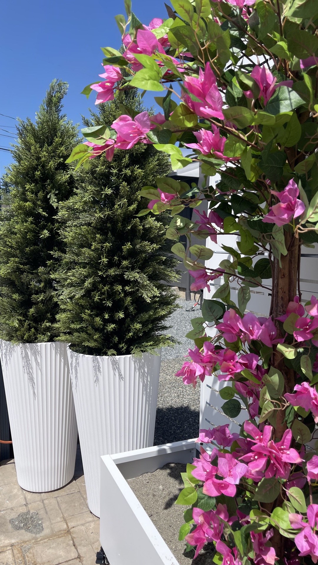 Faux evergreen trees, pink flower trees and tall coastal grasses for a privacy screen at the beach house.

Still waiting a some more grasses to fill in but the color and quality is AMAZING!!

#LTKSaleAlert #LTKHome #LTKdayinmylife