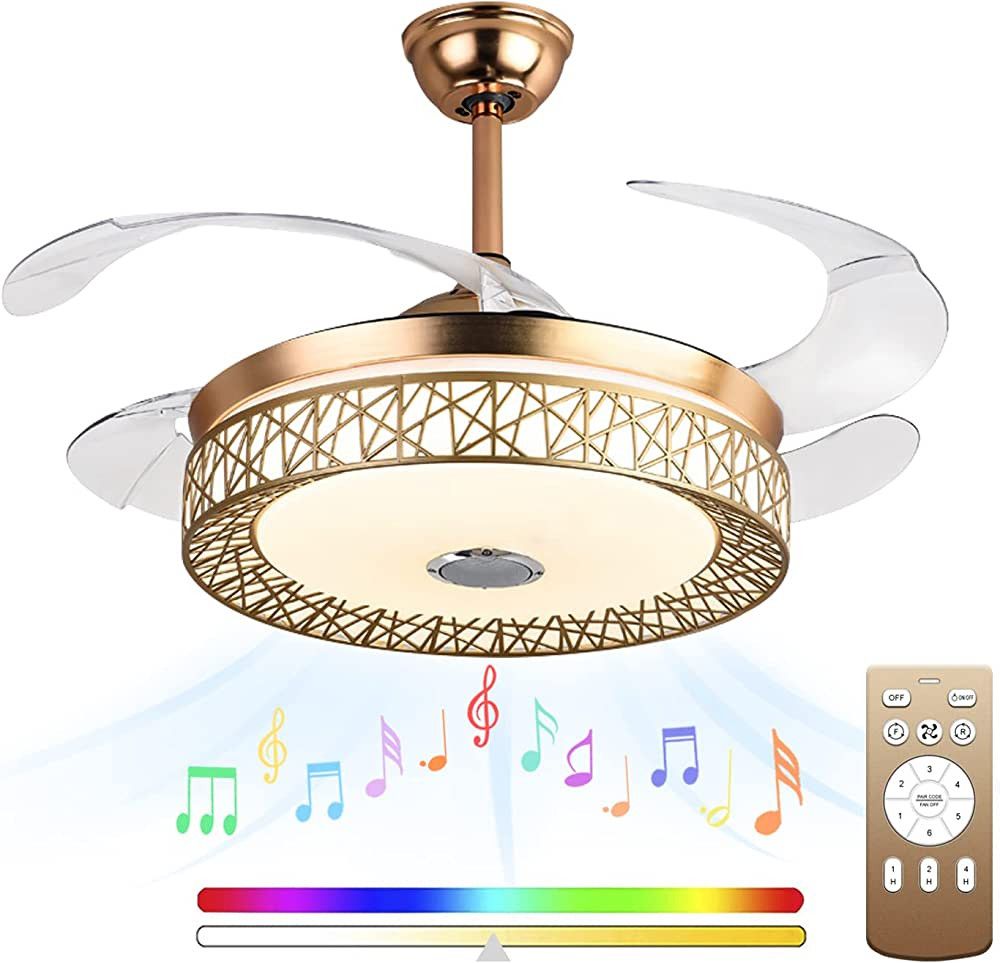 Minfeng 42 Inch Retractable Ceiling Fan LED Light and Remote Control,Modern Chandelier with Bluet... | Amazon (US)