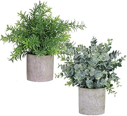 Winlyn 2 Pack Artificial Potted Plants Faux Eucalyptus & Rosemary Greenery in Pots Small Housepla... | Amazon (US)