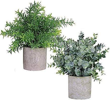 Winlyn 2 Pack Artificial Potted Plants Faux Eucalyptus & Rosemary Greenery in Pots Small Housepla... | Amazon (US)
