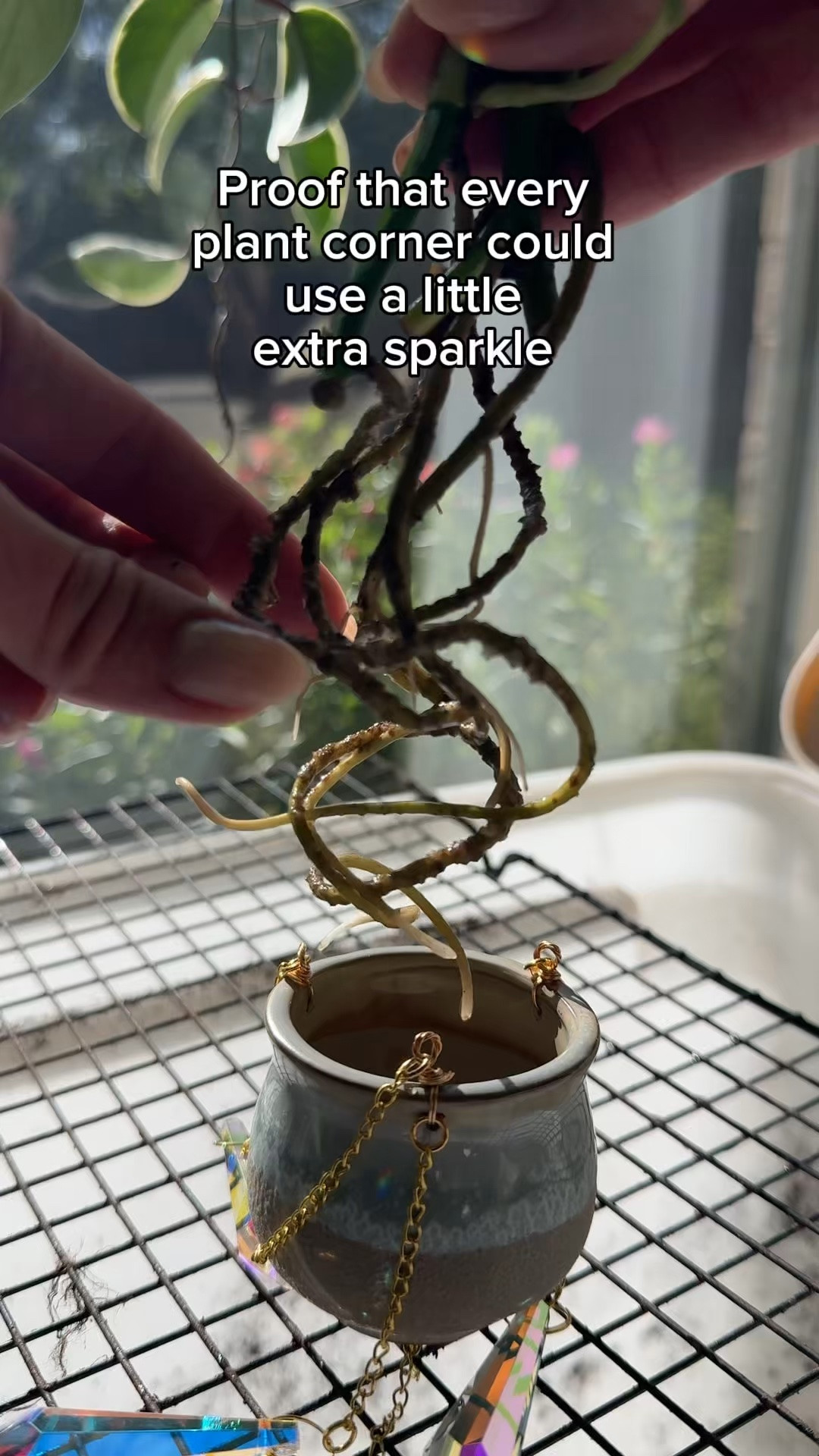 Such a simple way to add a little whimsy to my plant space.

Want the link to either one? Comment “SEND” and I’ll send it your way. 💌

sun catchers | plant decor | indoor plants | plant styling | whimsical decor

#PlantDecor #PlantLovers #IndoorPlants #PlantStyling #PlantInspiration

#LTKmorningroutine #LTKHome #LTKSaleAlert