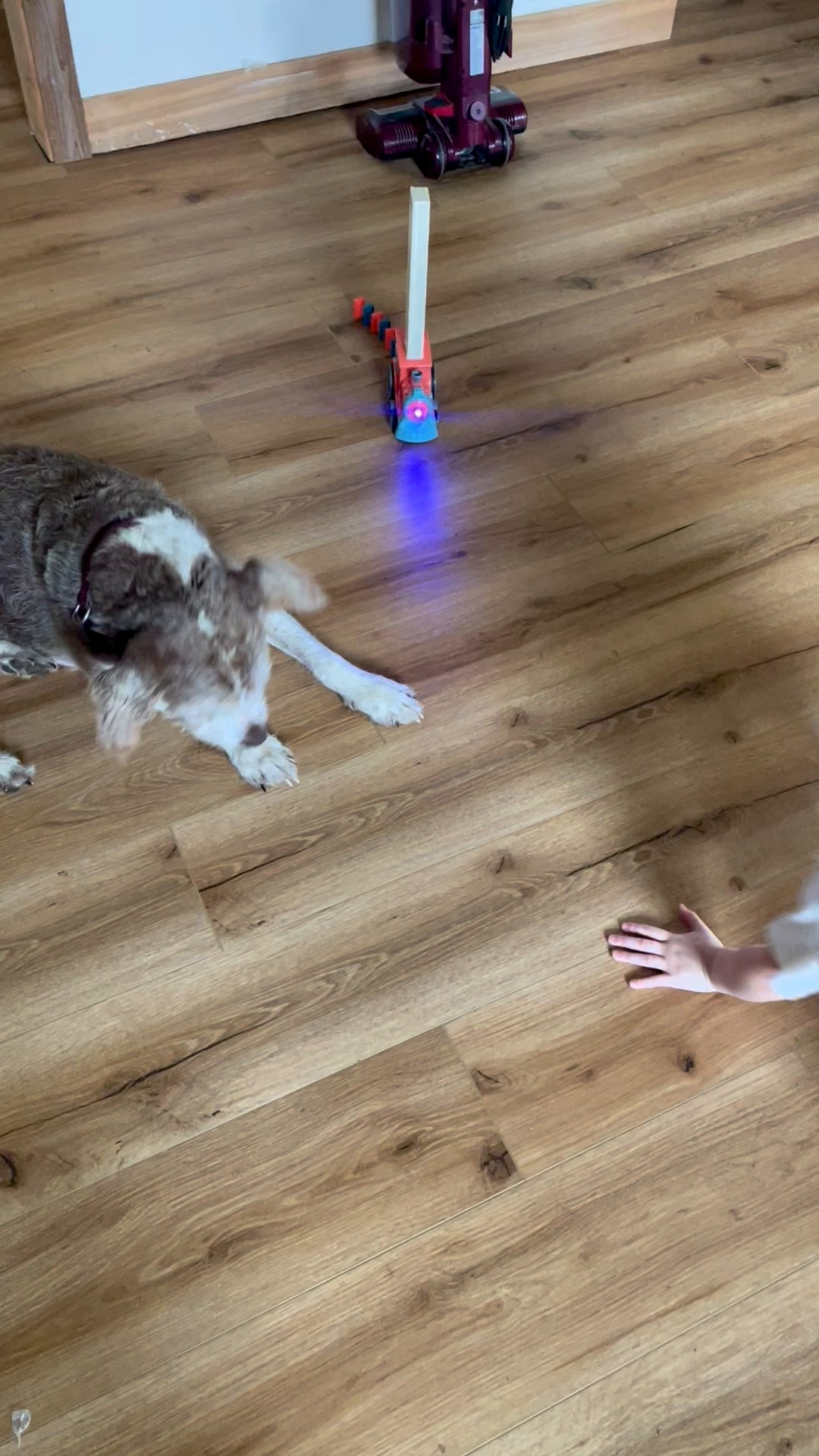 A favorite for the 3-5 year olds! This little train keeps them busy for quite some time!

#LTKKids #LTKGiftGuide