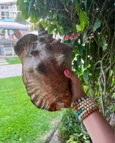 Seashell at Turks 

Seashell 
Beach 
Travel 
Bracelets 

#LTKtravel #LTKswim #LTKstyletip