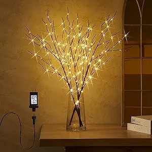 Fudios Lighted Branch Plug in with Timer Willow Branches with Fairy Lights for Vase Twig 32IN 150... | Amazon (US)