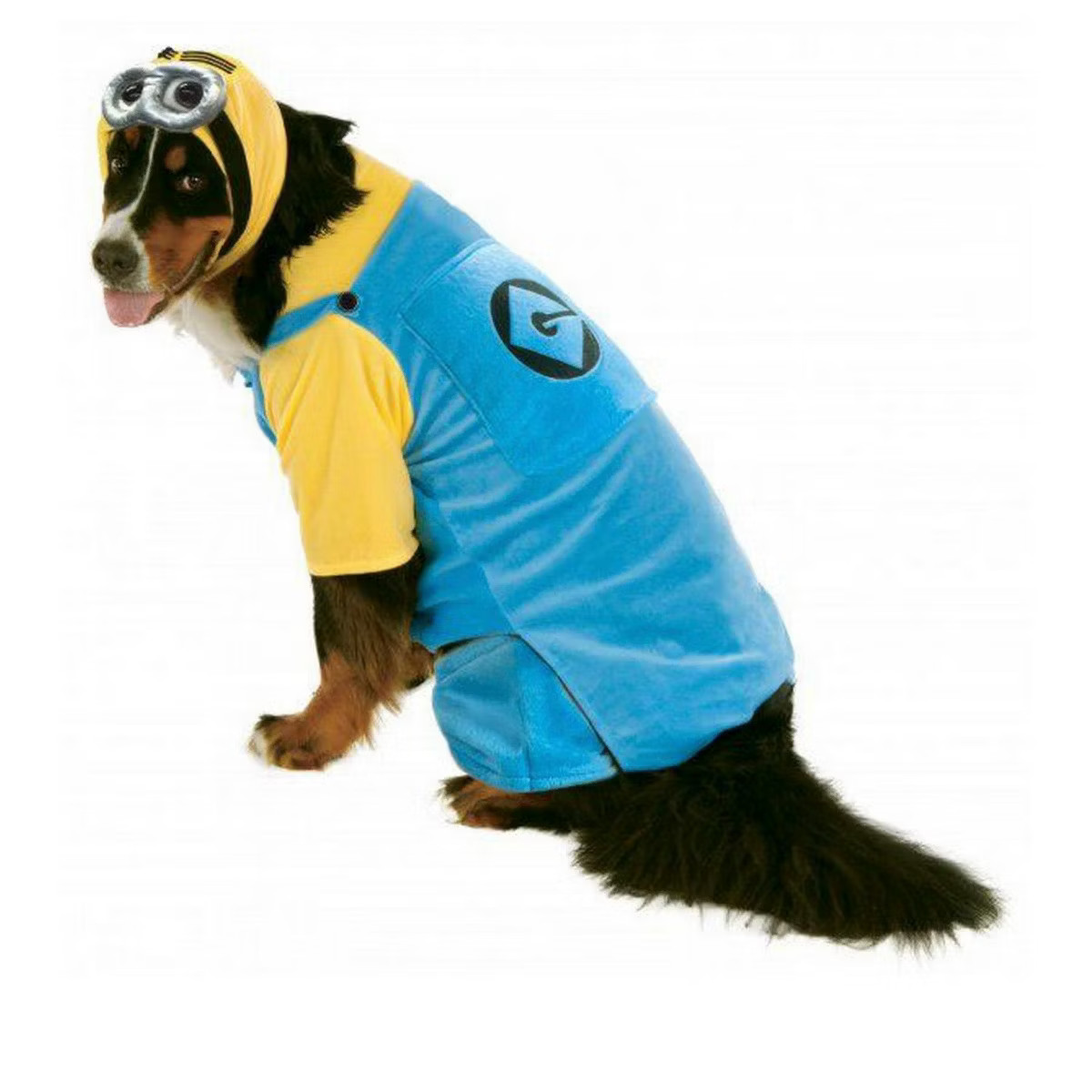 Rubies Big Dogs Minion Pet Costume | Target