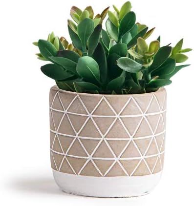 Kurrajong Farmhouse 7.5" x 4.5" Artificial Succulent Plant in Concrete Cement Pot, Beautiful Feau... | Amazon (US)