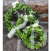 Farmhouse Decor, Mini Boxwood Wreath, Wreath, Boxwood Wreath, Farmhouse Wreath, Year Round Accent | Etsy (US)