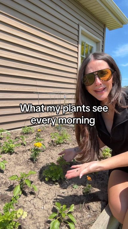 Actual footage of me in my garden every morning. “Just look at it!”