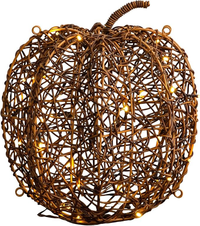 Nearly Natural 12in. Pre-Lit Autumn Rattan Fall Pumpkin with 40 Warm White LED Lights | Amazon (US)