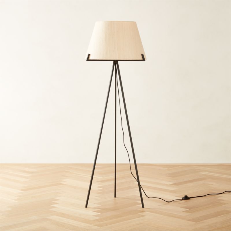 Onado Modern Black Floor Lamp II + Reviews | CB2 | CB2