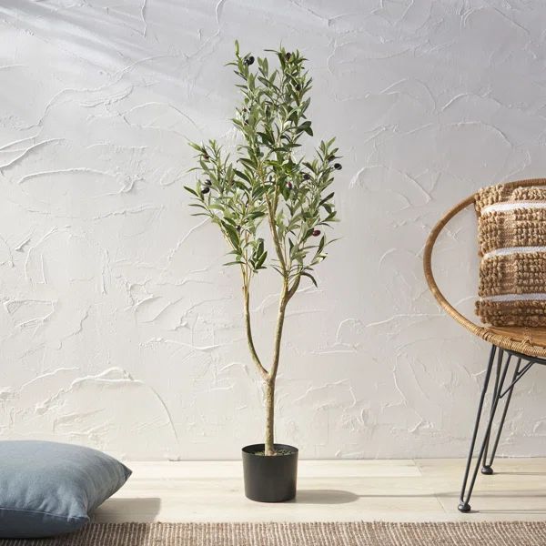 Aarav Artificial Olive Tree in Pot | Wayfair North America