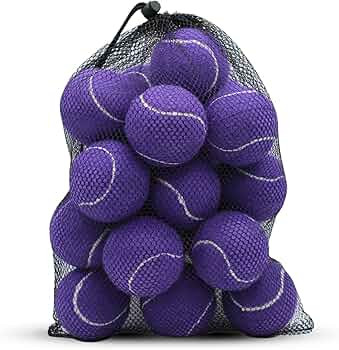 Tennis Balls, 20 Pack Training Tennis Balls,High Elasticity Practice Tennis for Beginner, Exercis... | Amazon (US)