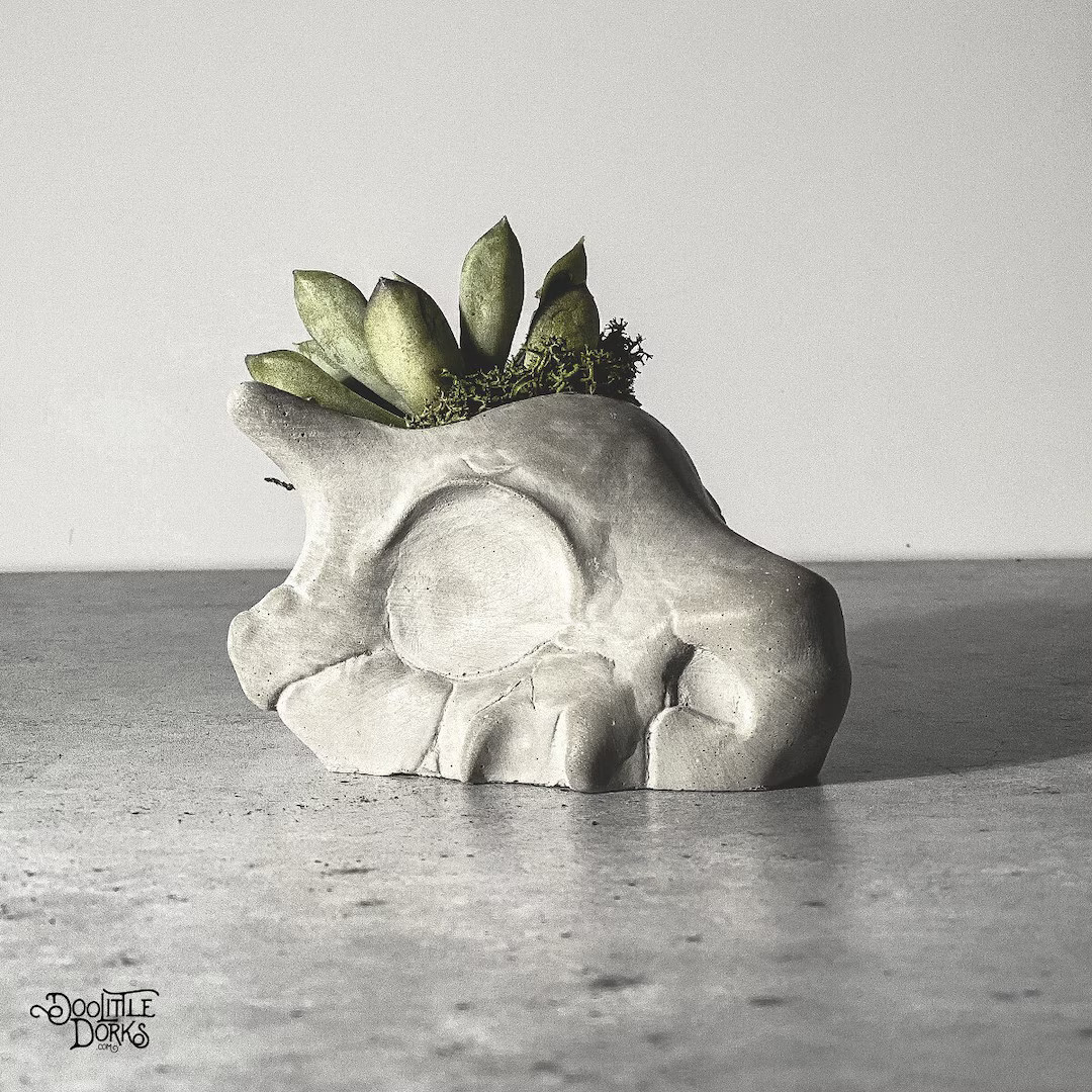 Cubone Planter | Handmade Concrete Succulent Planter | Halloween Planter - Etsy | Etsy (US)
