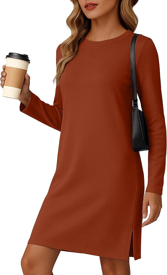 Dresses for Women 2025 Casual Long Sleeve Dress Trendy Fall Spring Vacation Travel Airport Outfit... | Amazon (US)