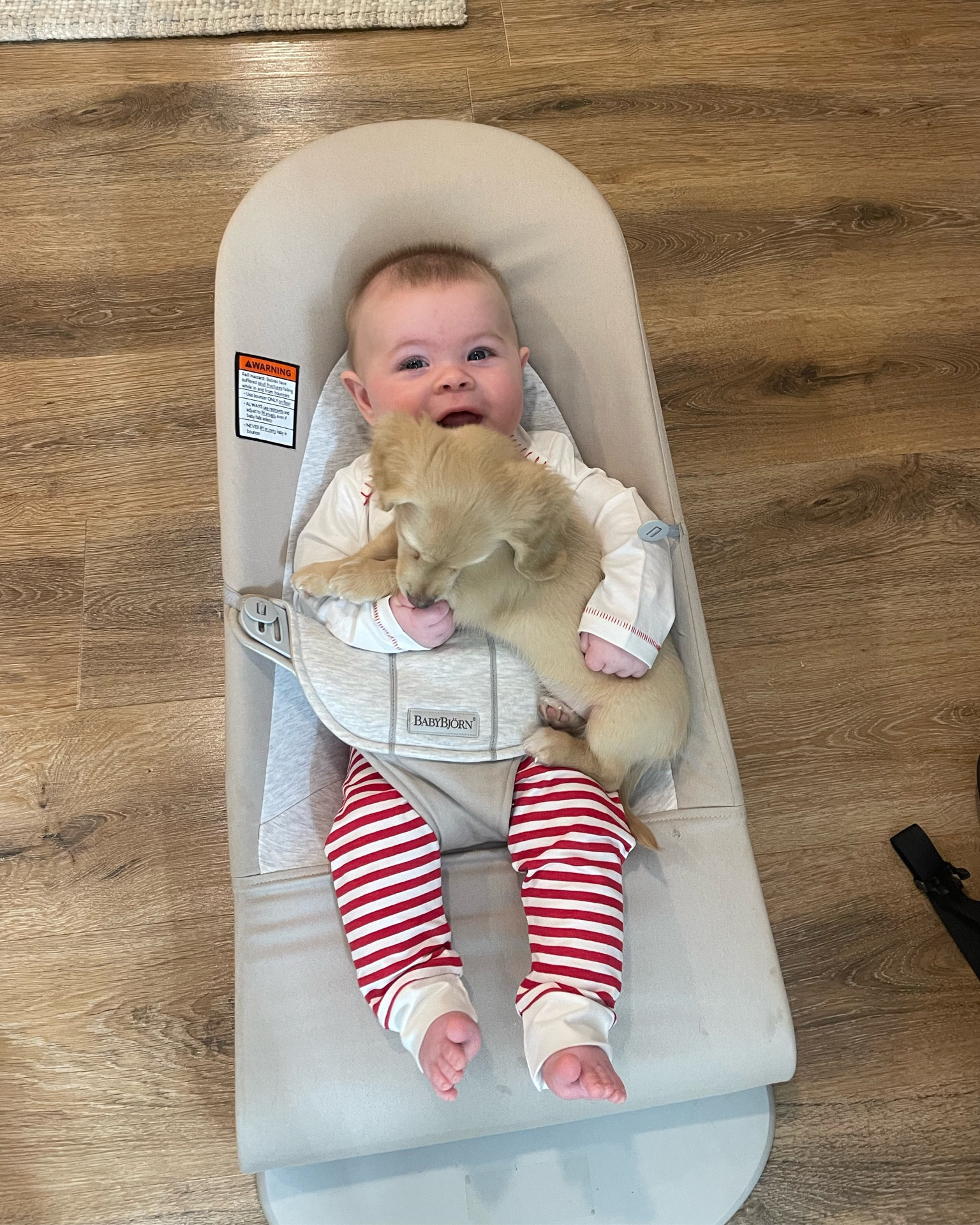 Baby boy / boy mom / baby bouncer / baby registry / babybjorn 

#LTKkids #LTKbump #LTKbaby