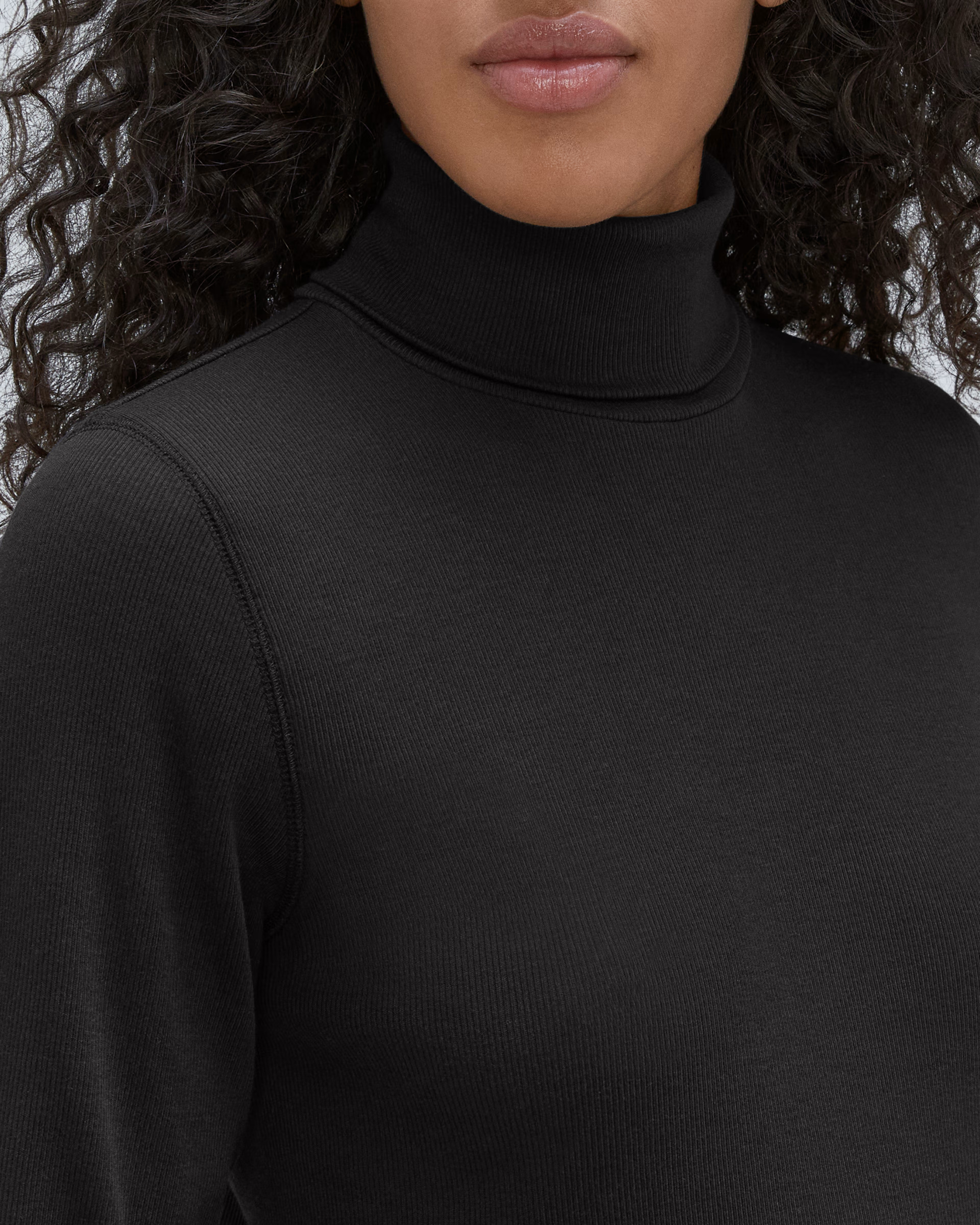 The Luxe Rib Turtleneck | Everlane