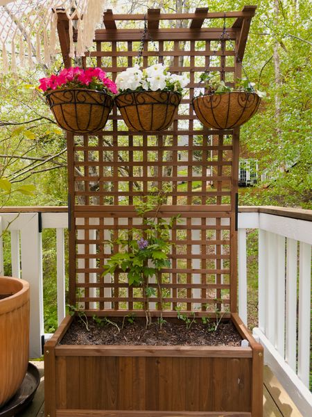 I just bought these two trellis planters for a bit more privacy on our patio! I planted wisteria and added some hanging flower baskets 🌿🌸

#LTKfindsunder100 #LTKhome