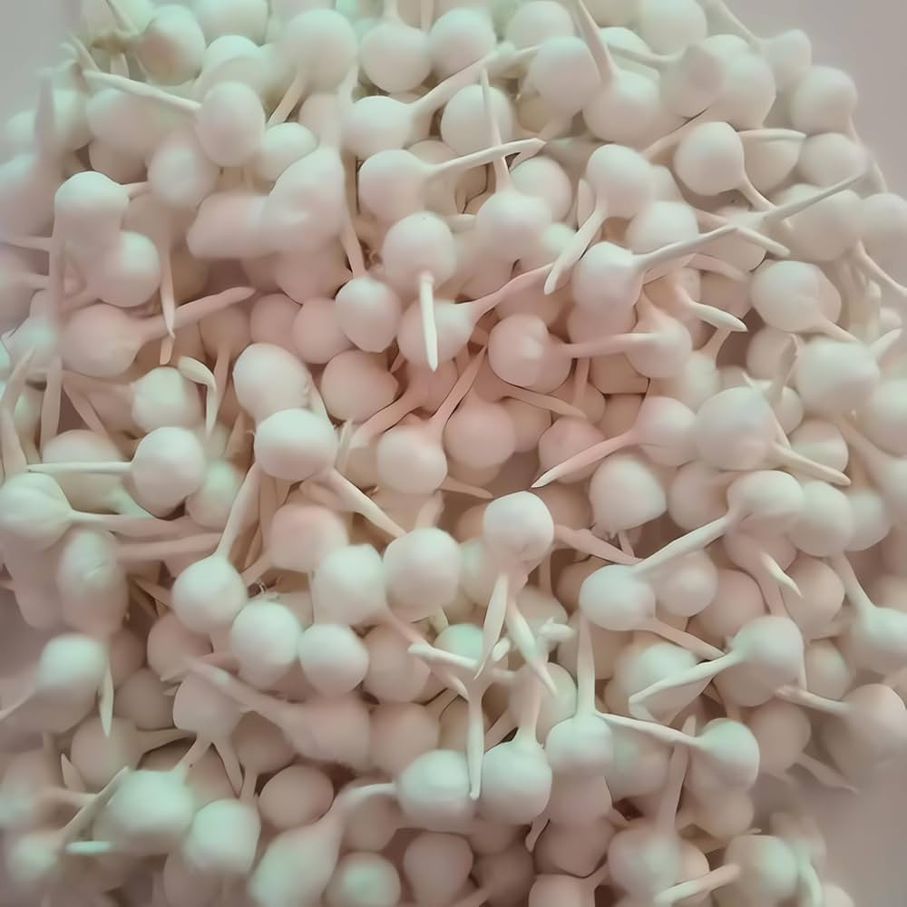 Cotton Wicks for Puja Diya - Round Pooja Jyot Batti for Oil Lamp, Diwali Diya, Brass Kuber Diya, ... | Amazon (US)