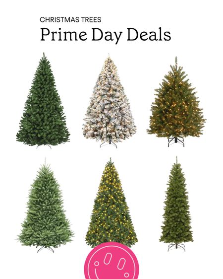 Buy your Christmas tree now while they’re on sale for Prime Day! 

#LTKHolidaySale #LTKxPrime #LTKsalealert