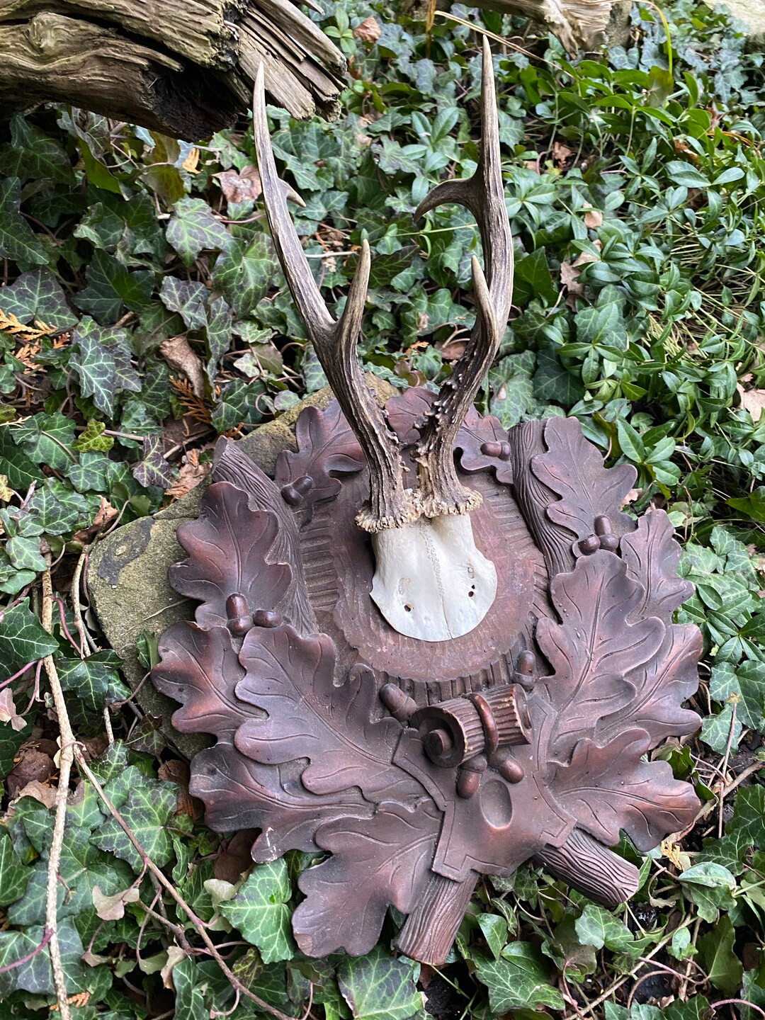Antique roedeer antlers wood carved mount blackforest victorian | Etsy (US)