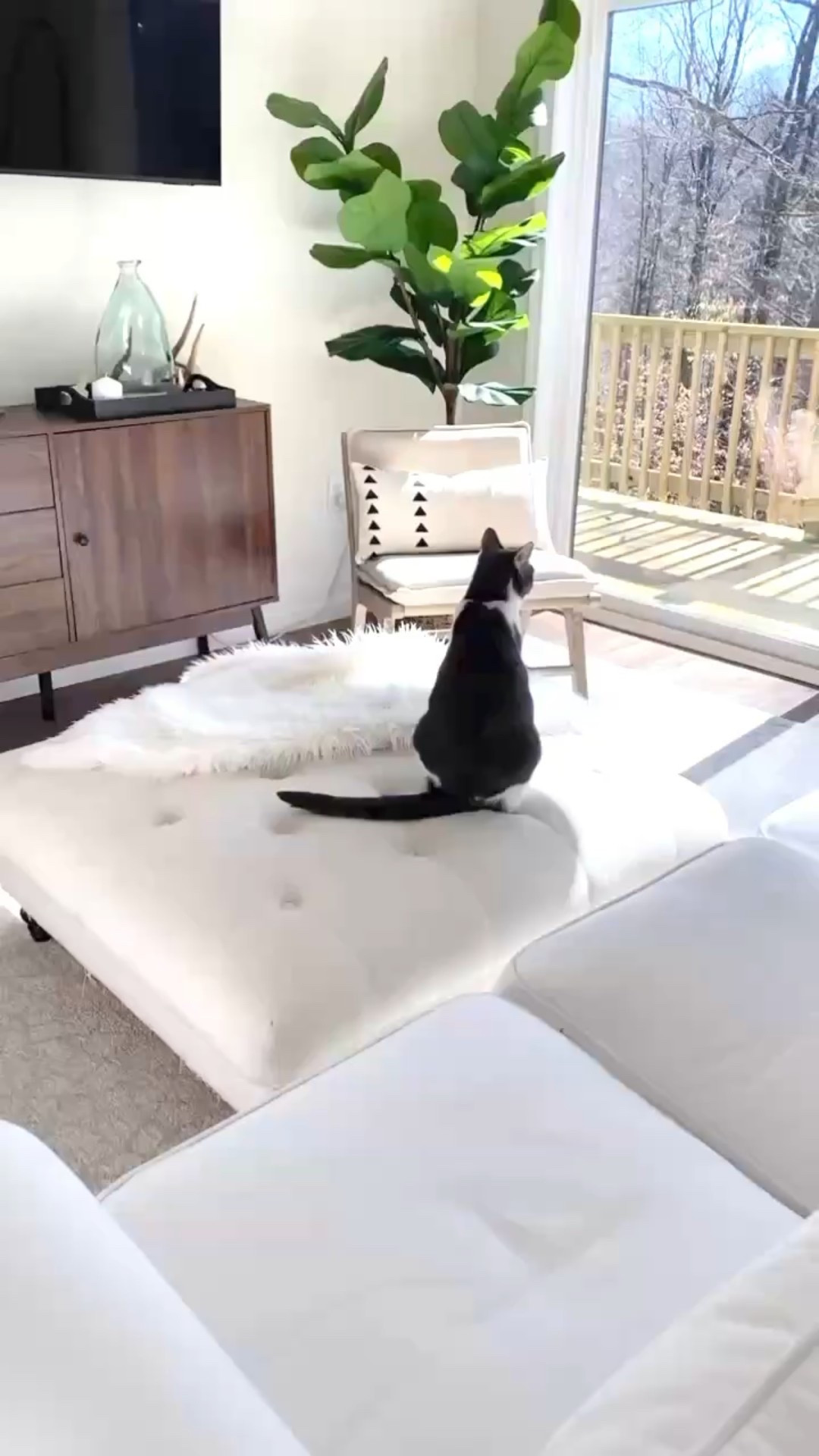 Today’s Home Finds!!!💕
All this beautiful sunshine brings out the urge to start decorating with new fresh home decor Time to start planning Here are some of my finds 

#LTKHome #LTKSaleAlert #LTKFindsUnder100