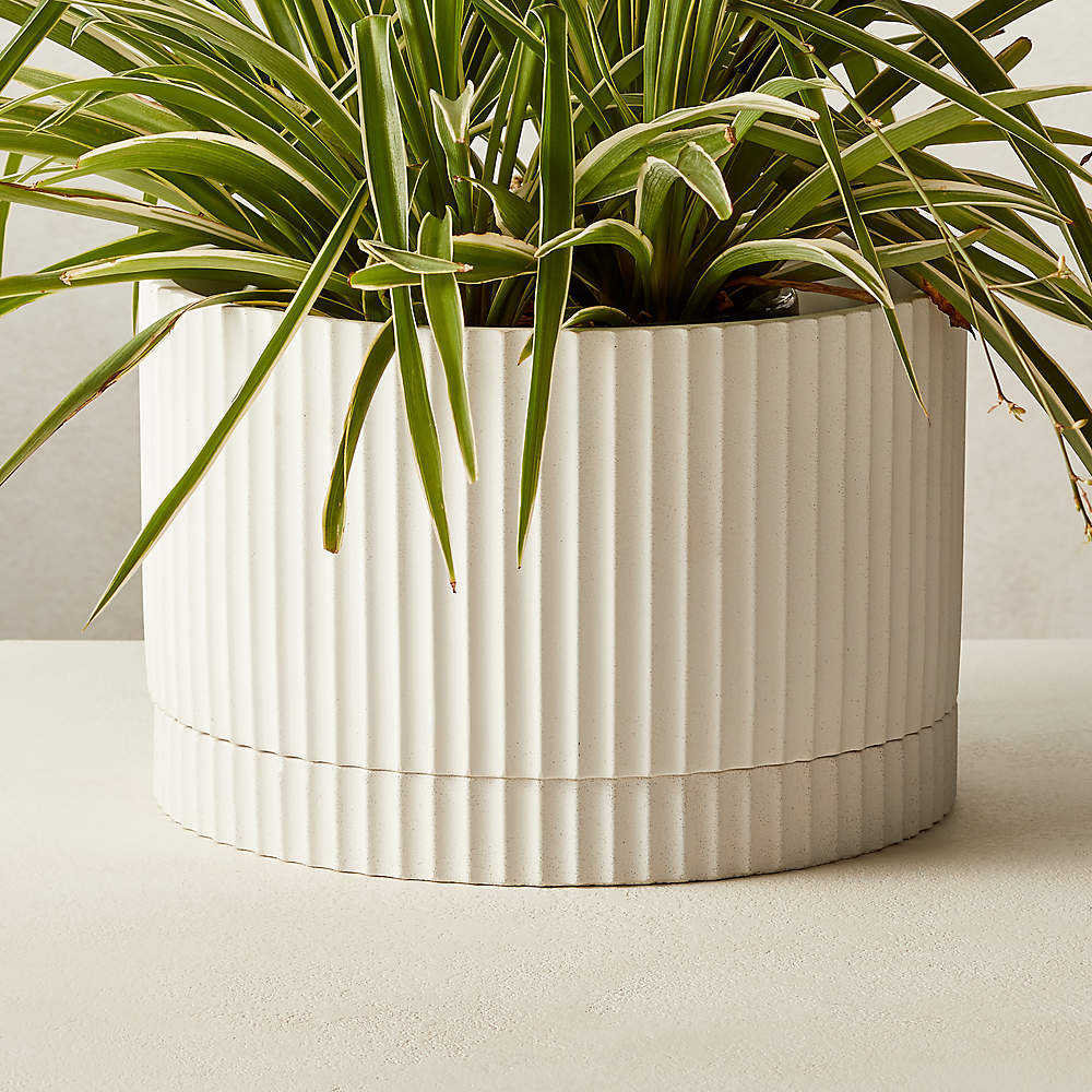 Fold White Cement Modern Planter with Tray + Reviews | CB2 | CB2
