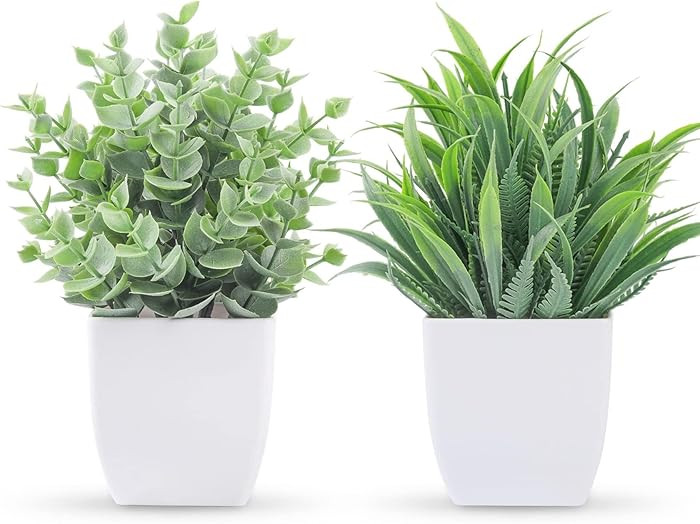 Der Rose 2 Pack Small Fake Plants Mini Artificial Potted Plants for Table Desk Home Laundry Room ... | Amazon (US)