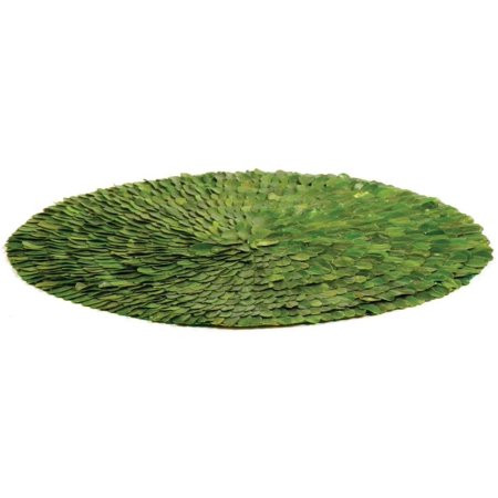 Napa Home & Garden Preserved Greens 16 Round Placemat 1 PC Only | Walmart (US)