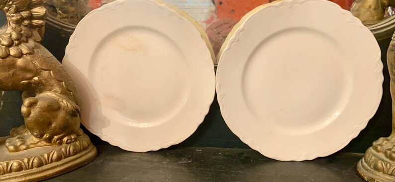 2 Vintage Ironstone Dinner Plates Stained & Crazed Ironstone Farmhouse Kitchen Plate Wall - Etsy | Etsy (US)