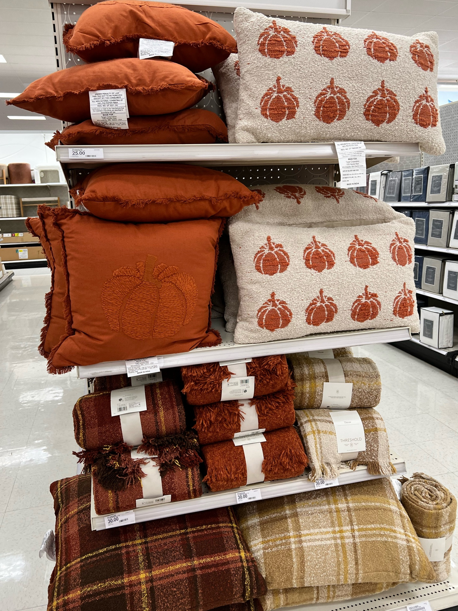 Target fall finds under $20!🍂 

#fallhomerdecor #falldecor #fallpillows #fallblankets #fallhome #targetfinds #targethome 

#LTKSeasonal #LTKfindsunder50 #LTKhome