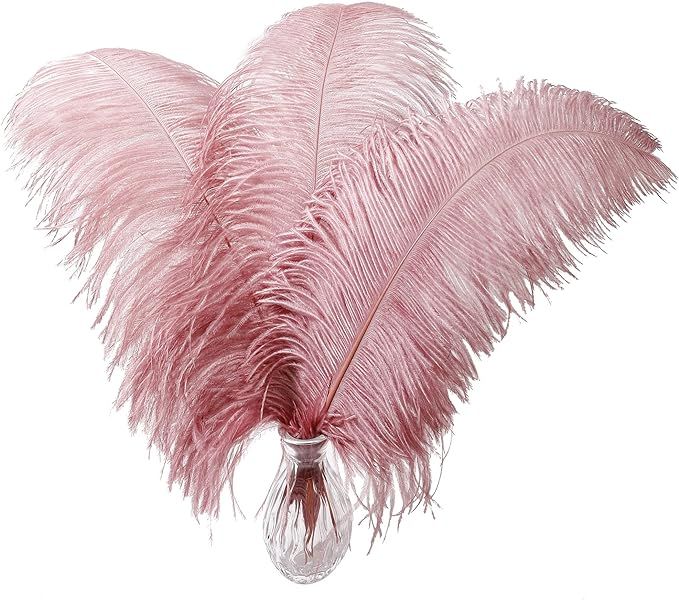 Larryhot Pink Ostrich Feathers Bulk- 16-18 inch 10pcs Feathers for Cfafts,Wedding Party Centerpie... | Amazon (US)