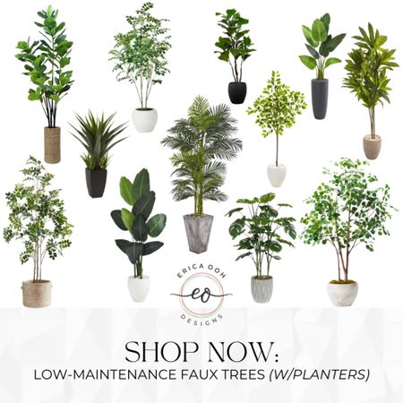 Faux trees to instantly elevate your space, bringing a touch of the outdoors in, without the maintenance hassle🌿 #artificialtree #homedecor

#LTKSaleAlert #LTKHome #LTKStyleTip