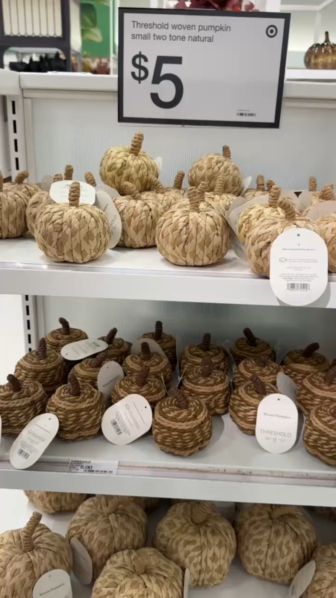 These pumpkins are so cute to add around your house for a touch of Fall 

#LTKTarget #LTKFall

#LTKFindsUnder50 #LTKHome #LTKSeasonal