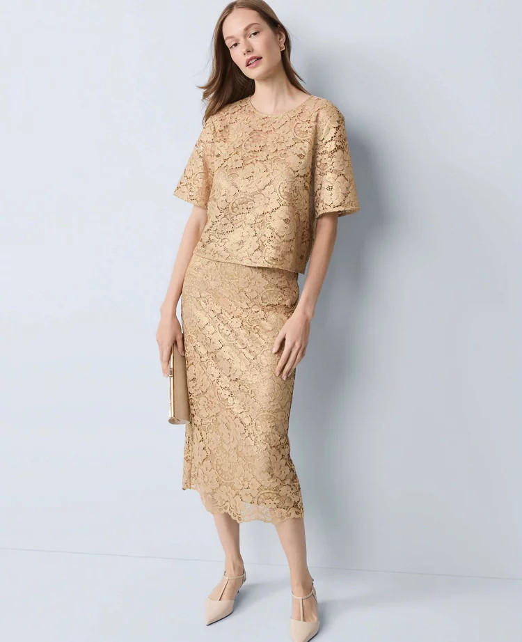 selected | Ann Taylor