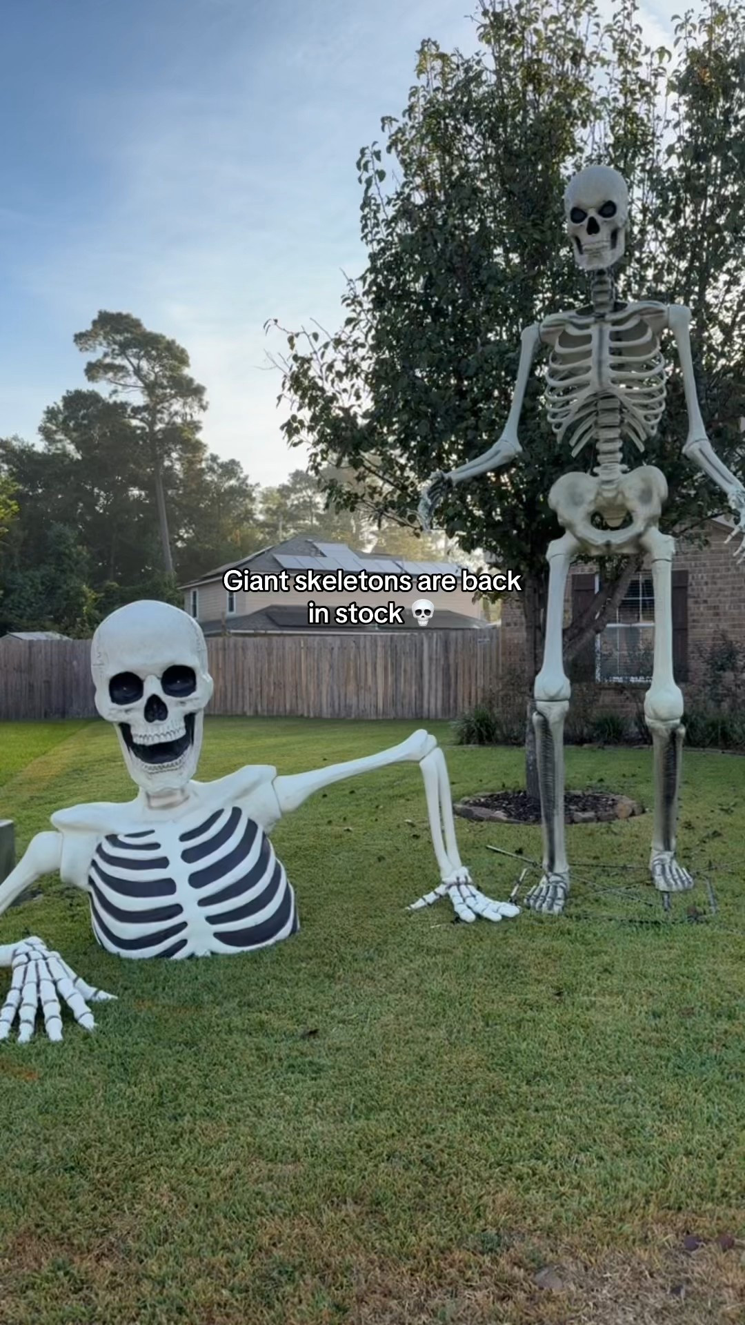 Giant skeletons restocked!
Halloween decor 

#LTKHome #LTKFindsUnder100 #LTKSeasonal