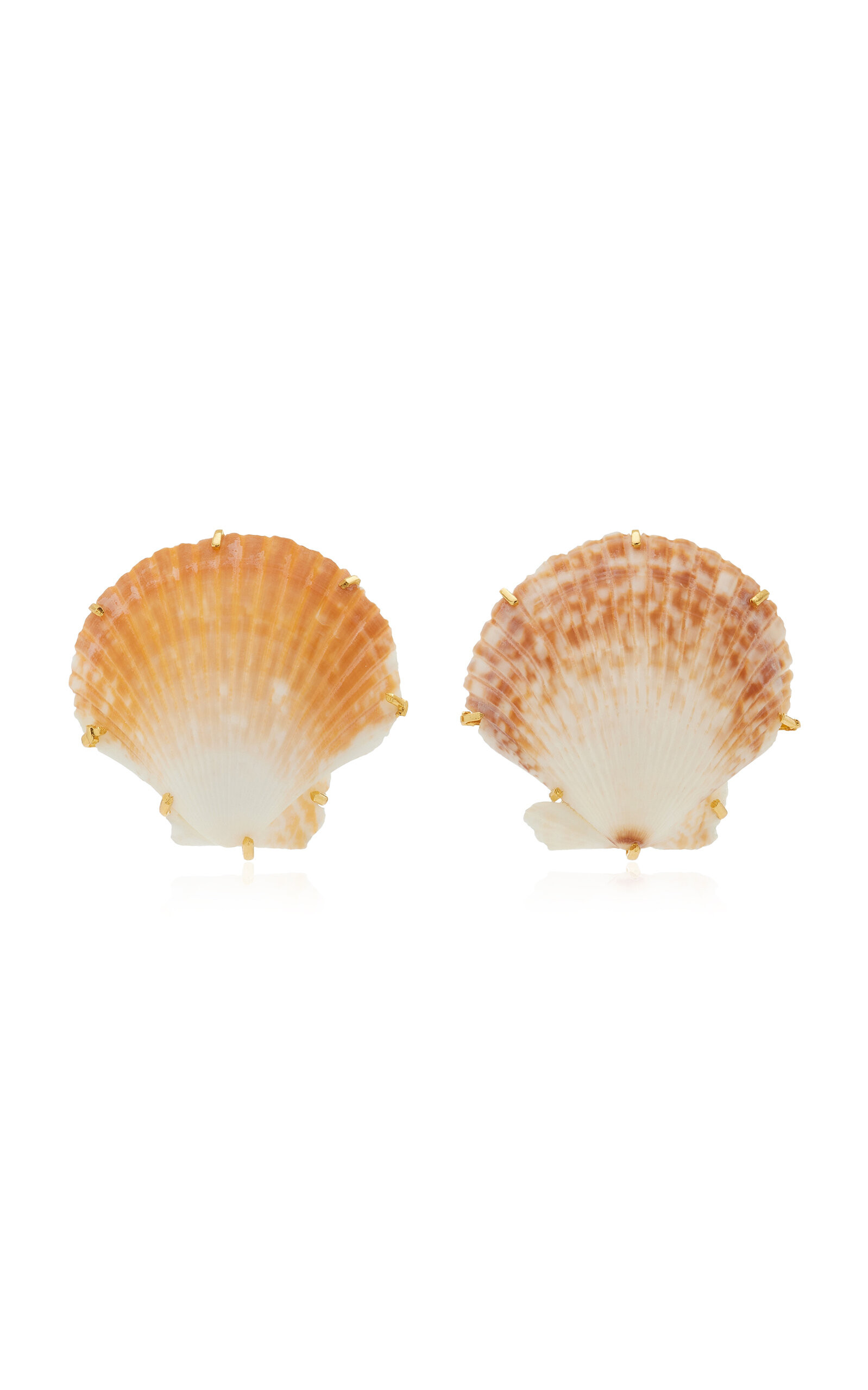 Deryn Shell Earrings | Moda Operandi (Global)