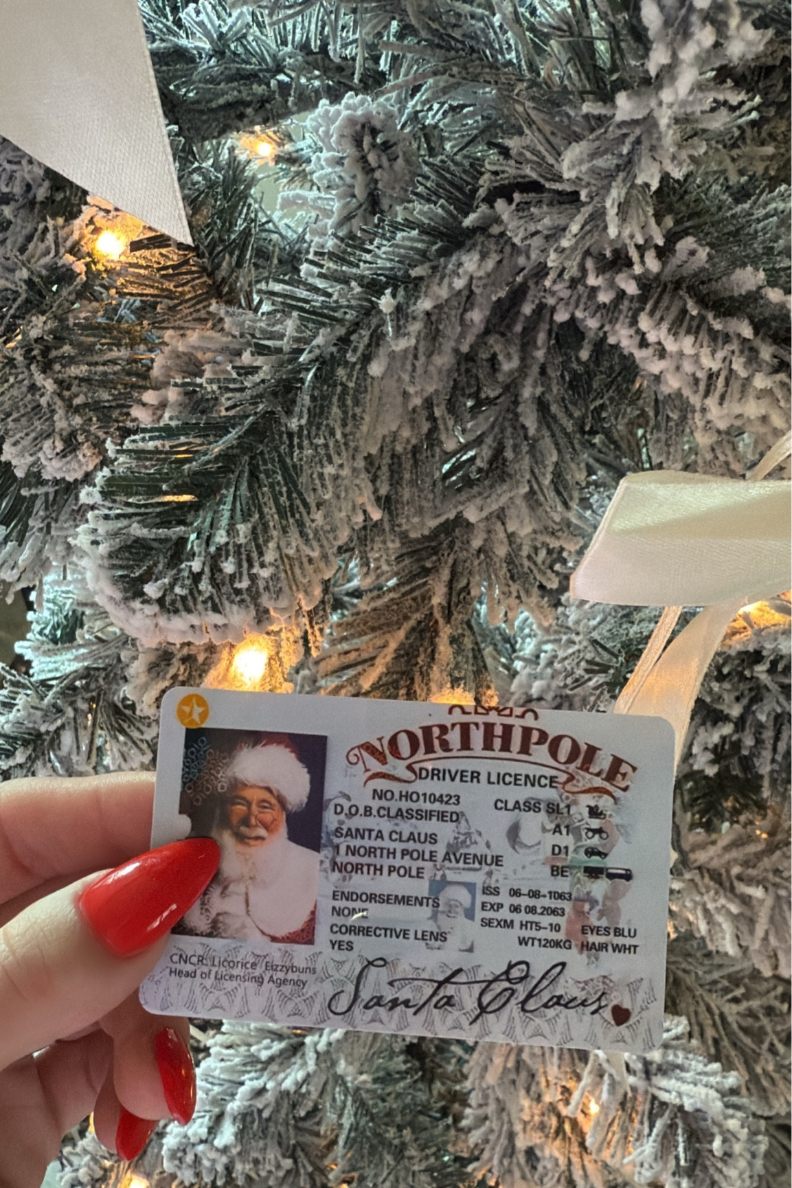 It’s the little things, all put together, that make Christmas magical. On Amazon Prime and delivers in time for Christmas Eve! 🎅🏼🎄✨

#LTKKids #LTKHoliday #LTKSeasonal