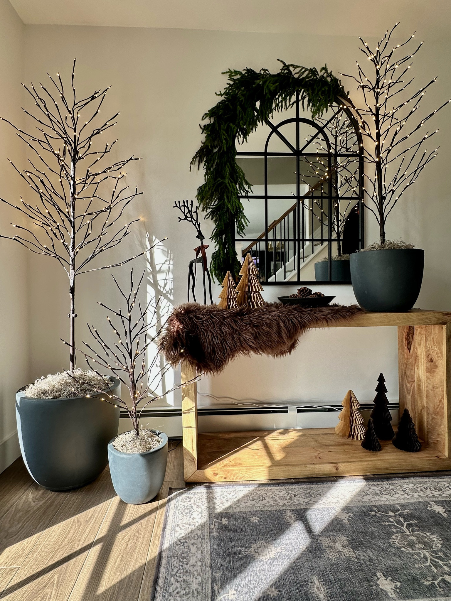 
Twinkle trees in planters. Holiday decor. Christmas foyer. Elevate your twinkle trees. Kante planter, Norfolk pine, arch mirror, faux fur hide, reindeer, Ruggable runner, accordion trees.