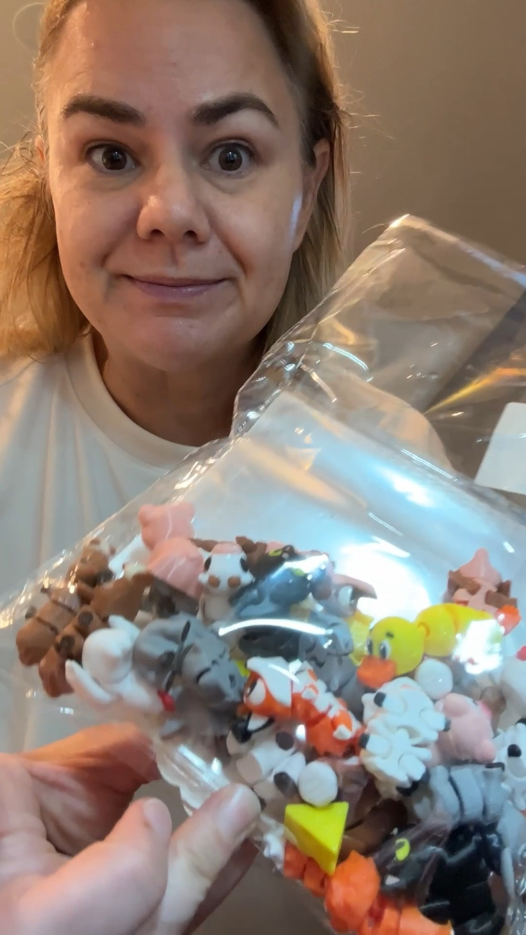 Mom’s it’s time to start thinking about classroom Valentine’s Day! I know it seems early, but all the fun stuff always sells out. These 3-D printed wiggles are gonna be hot this year.! These sets come with a little animal, a Valentine’s Day card and a clear bag to package it. 

#LTKKids #LTKmomlife #LTKSeasonal