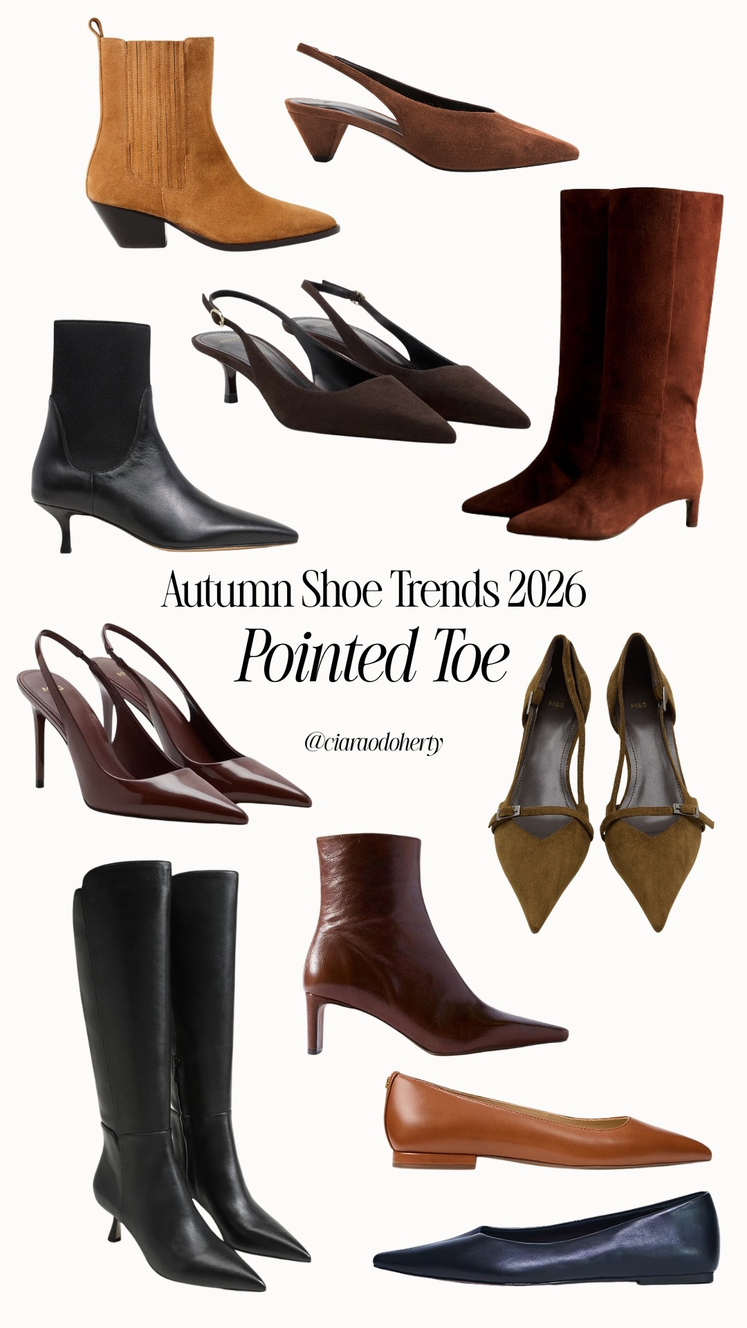 Autumn Shoe Trends 2026: Pointed Toe shoes, heels and boots

#LTKautumn #LTKFashionMonth #LTKshoes