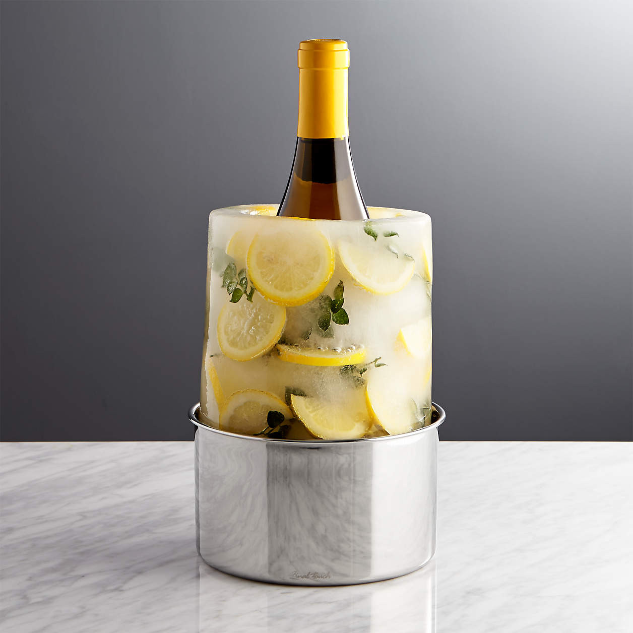 Ice Mold/Wine Bottle Chiller + Reviews | Crate & Barrel | Crate & Barrel