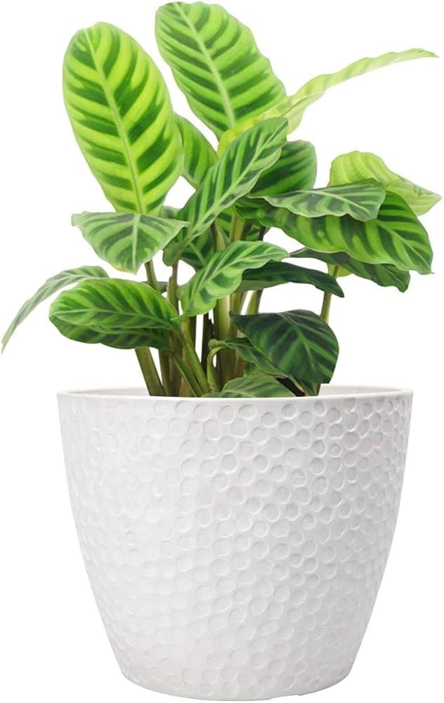 LA JOLIE MUSE Outdoor Planters Indoor Flower Pots - 9.4 Inch Planter Pot Containers, White Plant ... | Amazon (US)