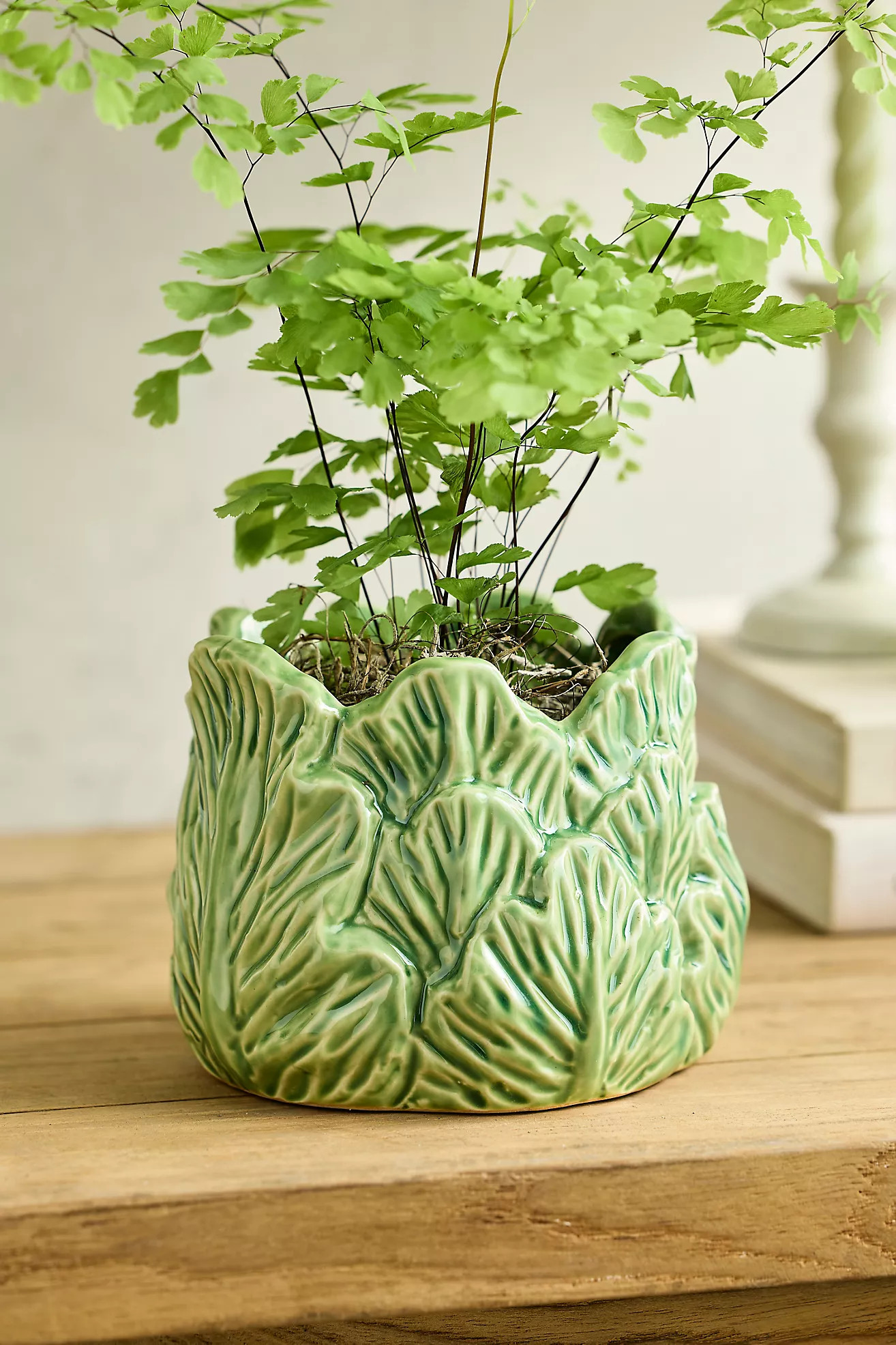 Cabbage Stoneware Pot | Anthropologie (US)