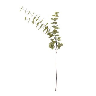 Green Eucalyptus Stem by Ashland® | Michaels | Michaels Stores