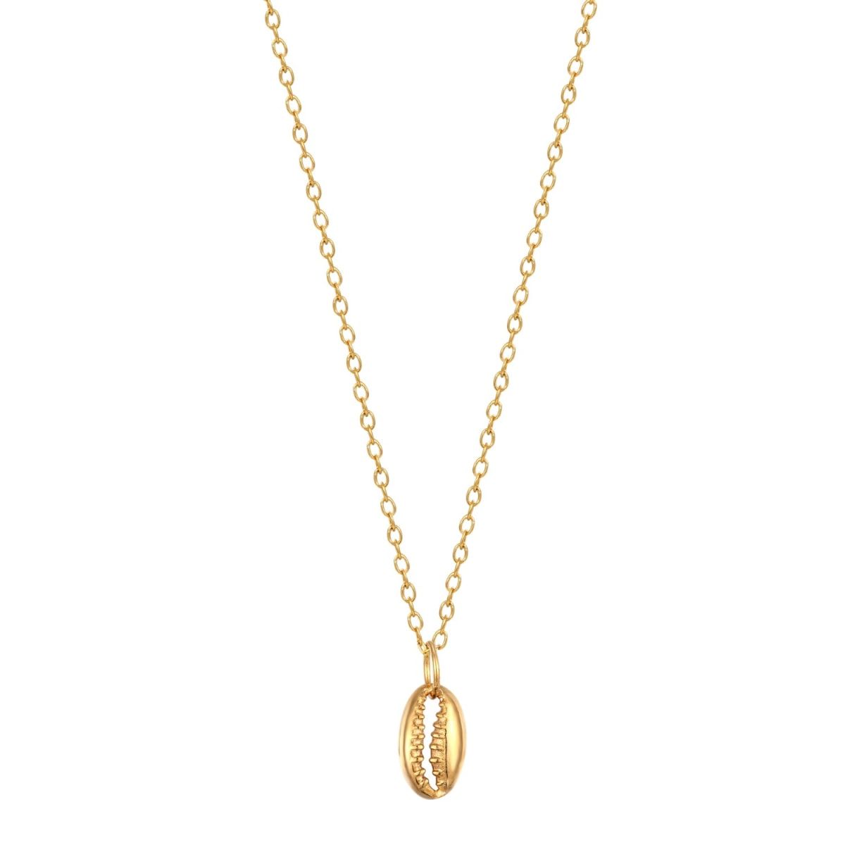 22Ct Gold Vermeil Tiny Cowrie Shell Charm Necklace | Wolf & Badger (US)