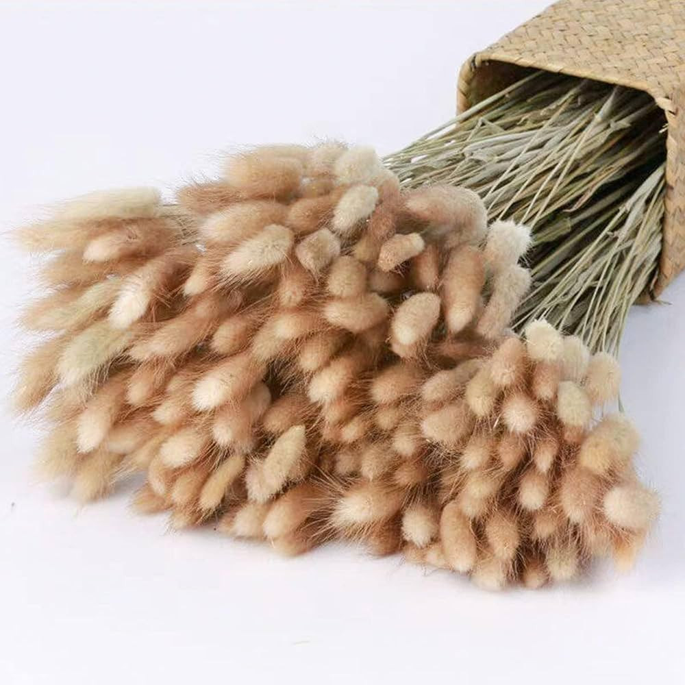 120pcs 17" Bunny Tails Dried Flowers Brown Pampas Grass Natural Rabbit Tail Grass Dry Floral Arra... | Amazon (US)